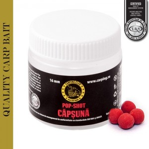 Pop-up capsuna-0